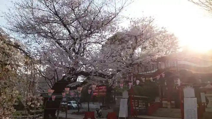 居木神社(東京都)