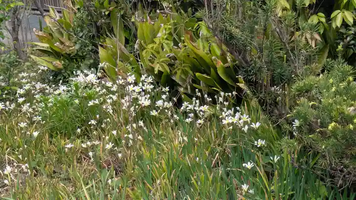 正覚寺(京都府)