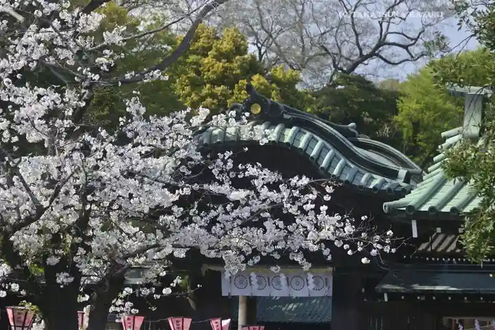 三嶋大社(静岡県)