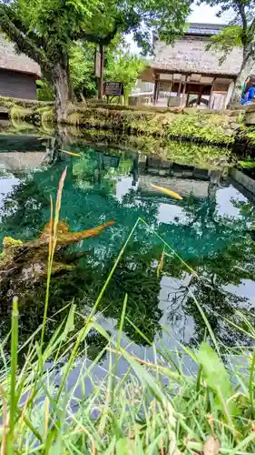 新倉富士浅間神社の周辺