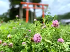 貴船神社(長野県)