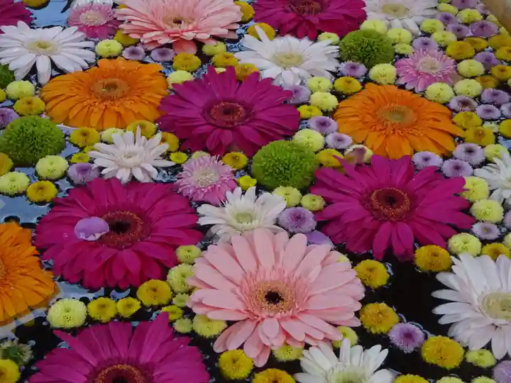 高円寺氷川神社の手水舎