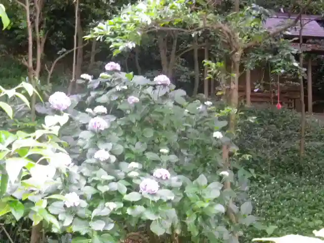 甘縄神明神社(甘縄神明宮)の自然