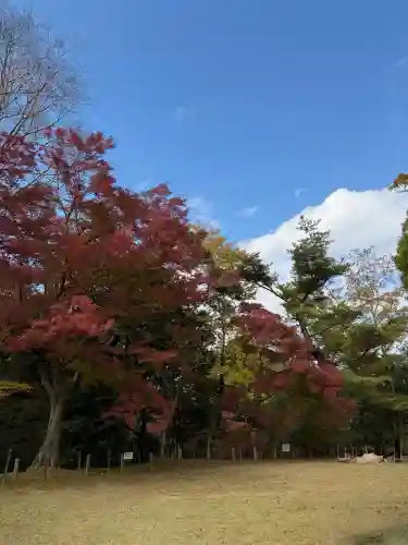 成田山新勝寺(千葉県)