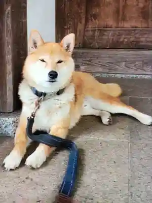 感通寺(東京都)