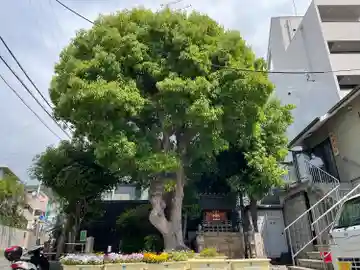 田邊山神社遥拝所(兵庫県)
