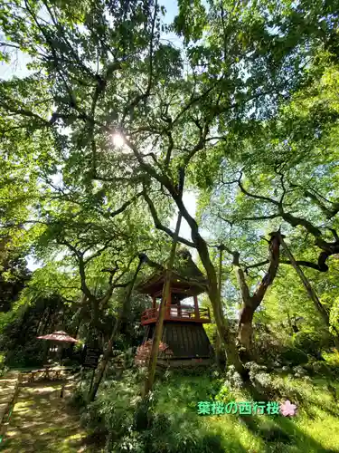 光丸山 法輪寺(栃木県)