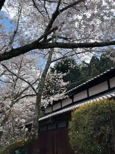 勝持寺（花の寺）(京都府)
