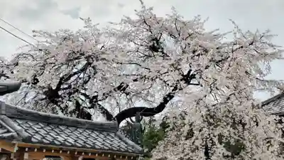 光榮寺(群馬県)