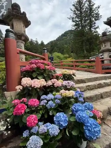 室生寺(奈良県)