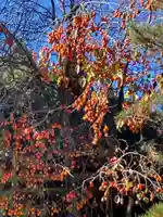 正寿院(京都府)