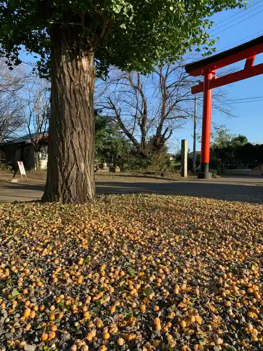 赤城神社(群馬県)