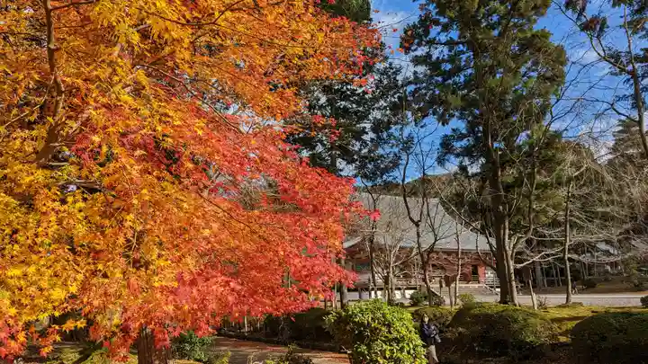 醍醐寺(京都府)