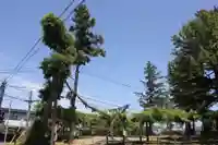 鳥海神社の自然