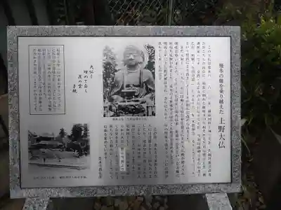 上野大佛の歴史