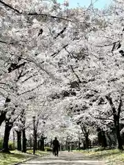 豊國神社(大阪府)