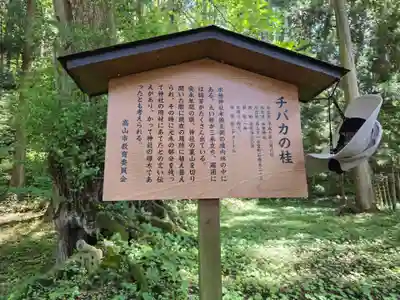 飛驒一宮水無神社(岐阜県)