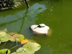 法華寺(奈良県)