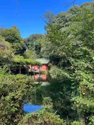 富士山本宮浅間大社(静岡県)