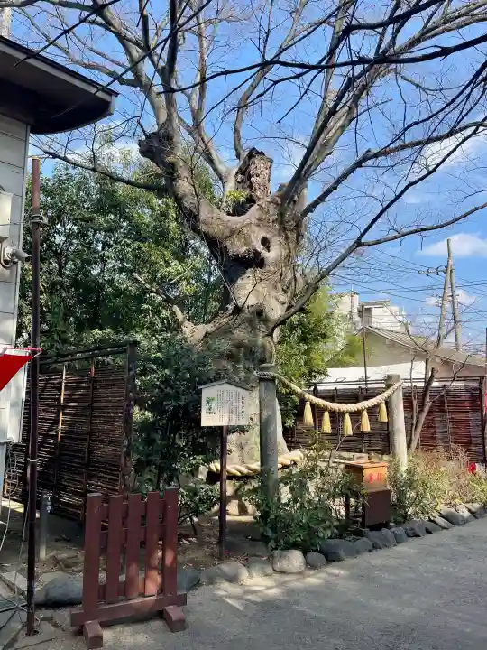 溝口神社の{uncategorized: "未分類", other: "その他", undefined: "問題あり", building: "その他建物", grave: "お墓", sacred_gate: "鳥居", guardian: "狛犬", statue: "像", buddha: "仏像", history: "歴史", nature: "自然", garden: "庭園", animal: "動物", pagoda: "塔", temizu: "手水舎", mountain_gate: "山門・神門", sanctuary: "本殿・本堂", subordinate: "末社・摂社", art: "芸術", scenery: "景色", jizo: "地蔵", ema: "絵馬", goshuin: "御朱印", omikuji: "おみくじ", items: "授与品その他", amulet: "お守り", goshuincho: "御朱印帳", eats: "食事", festival: "お祭り", votive_dance: "神楽", shichigosan: "七五三参", wedding: "結婚式", experience: "体験その他", initially: "初詣", around: "周辺", anti_infection: "感染症対策"}
