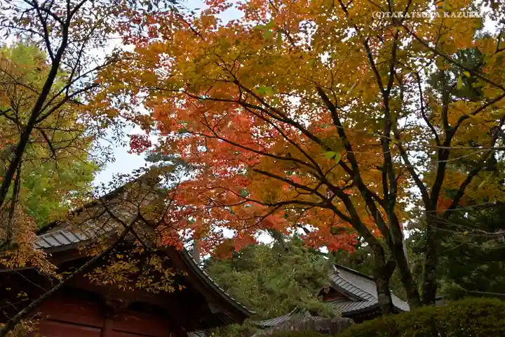 北口本宮冨士浅間神社のその他建物