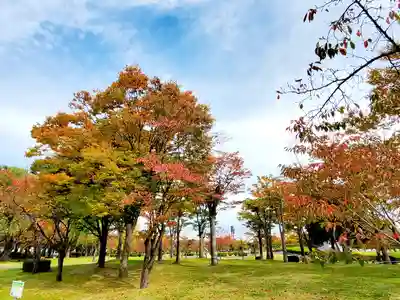 開成山大神宮の周辺