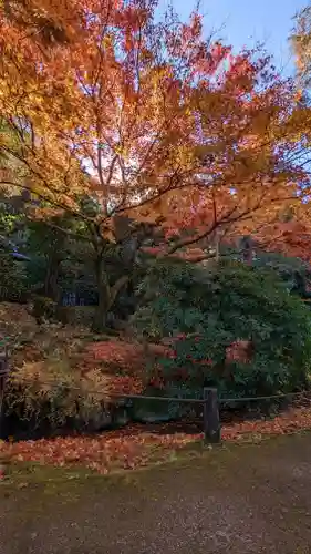 青蓮院門跡(京都府)