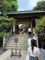 東京大神宮(東京都)