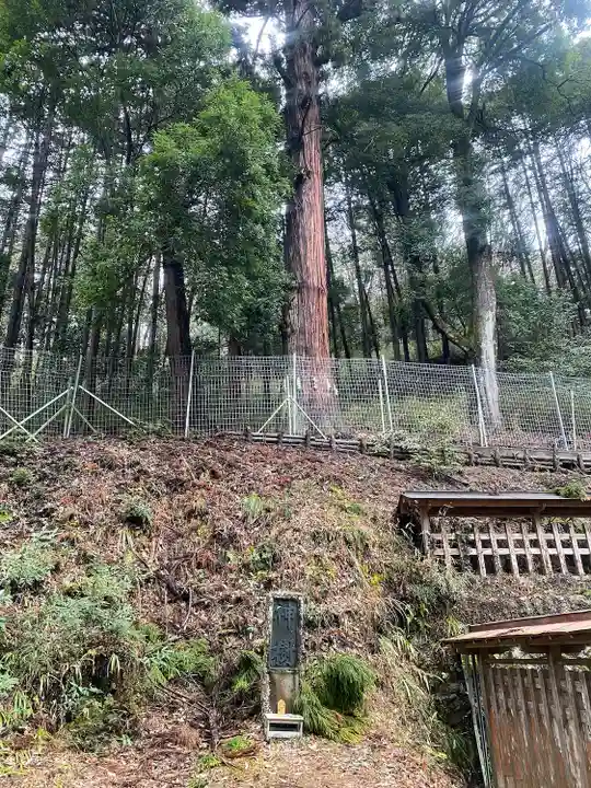 武田八幡宮(山梨県)