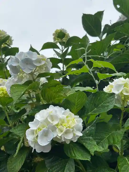 粟井神社(香川県)