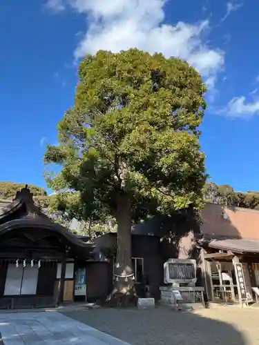 酒列磯前神社のその他建物