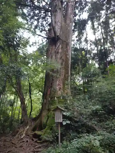 花園神社(茨城県)