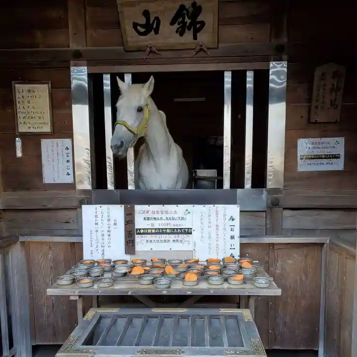 多度大社の動物