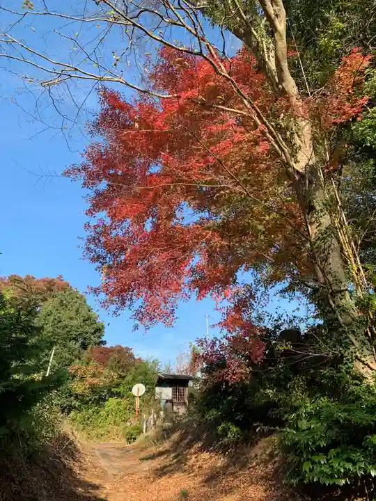 正福寺跡(千葉県)