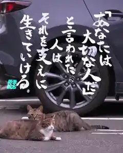 専念寺(大阪府)(2022年07月17日(日) 19時55分27秒投稿)