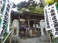星井寺(虚空蔵堂)の狛犬