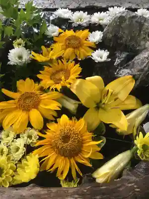 札幌護國神社の手水舎