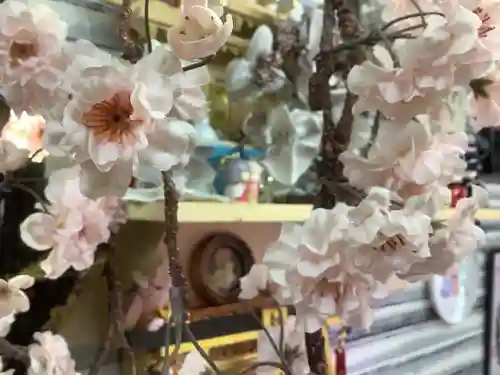 錦鯱神社(愛知県)