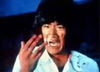 二柱神社 (福居)(栃木県)