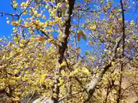 横浜 西方寺(神奈川県)