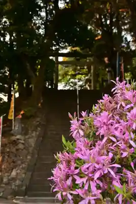 唐澤山神社(栃木県)