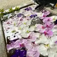 札幌諏訪神社の手水舎