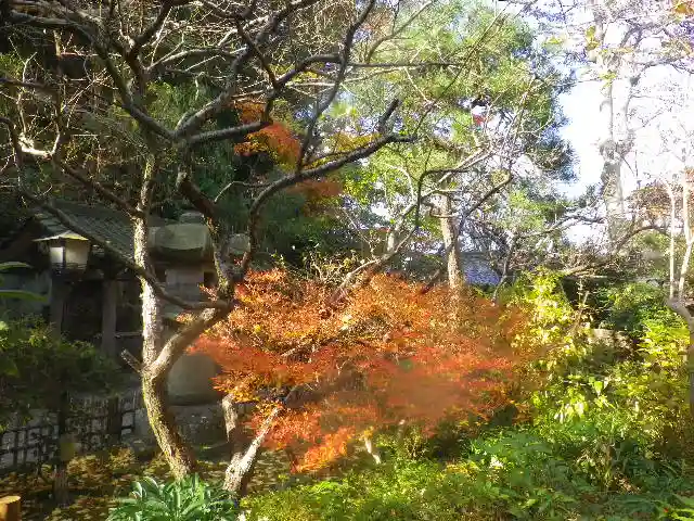 安國論寺(安国論寺)の自然
