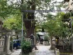 小野照崎神社の建物その他