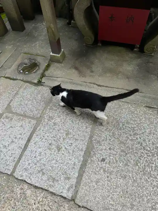 伏見稲荷大社(京都府)