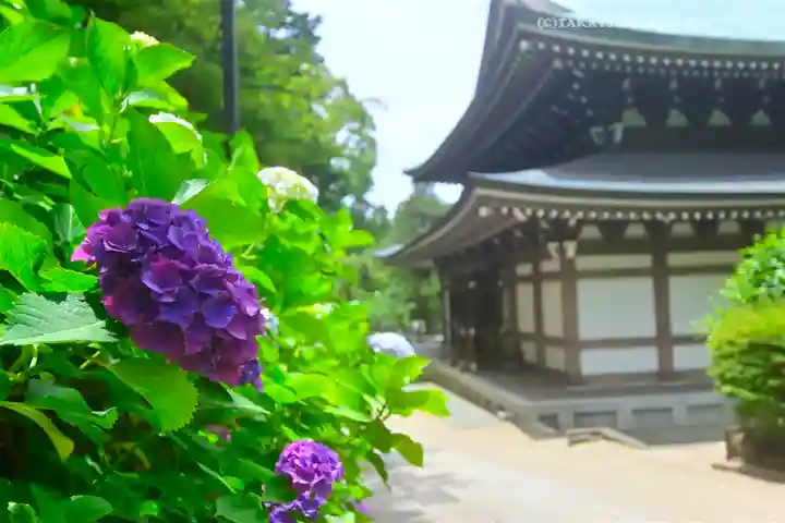 円覚寺(神奈川県)