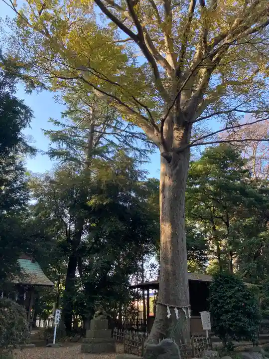 前鳥神社のその他建物