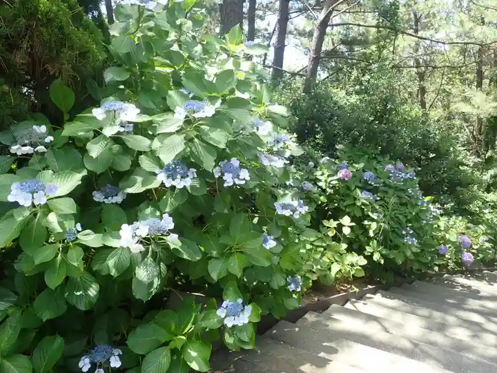 瀬戸神社(神奈川県)