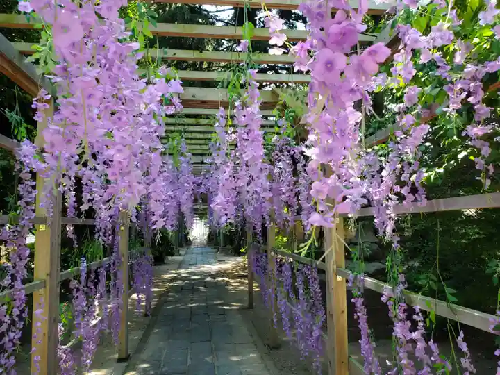 越谷香取神社(埼玉県)