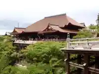 清水寺の本殿・本堂